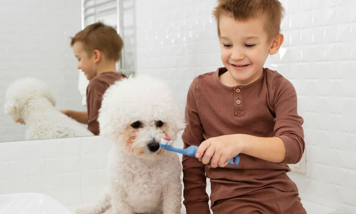 Child brushing dog's teeth