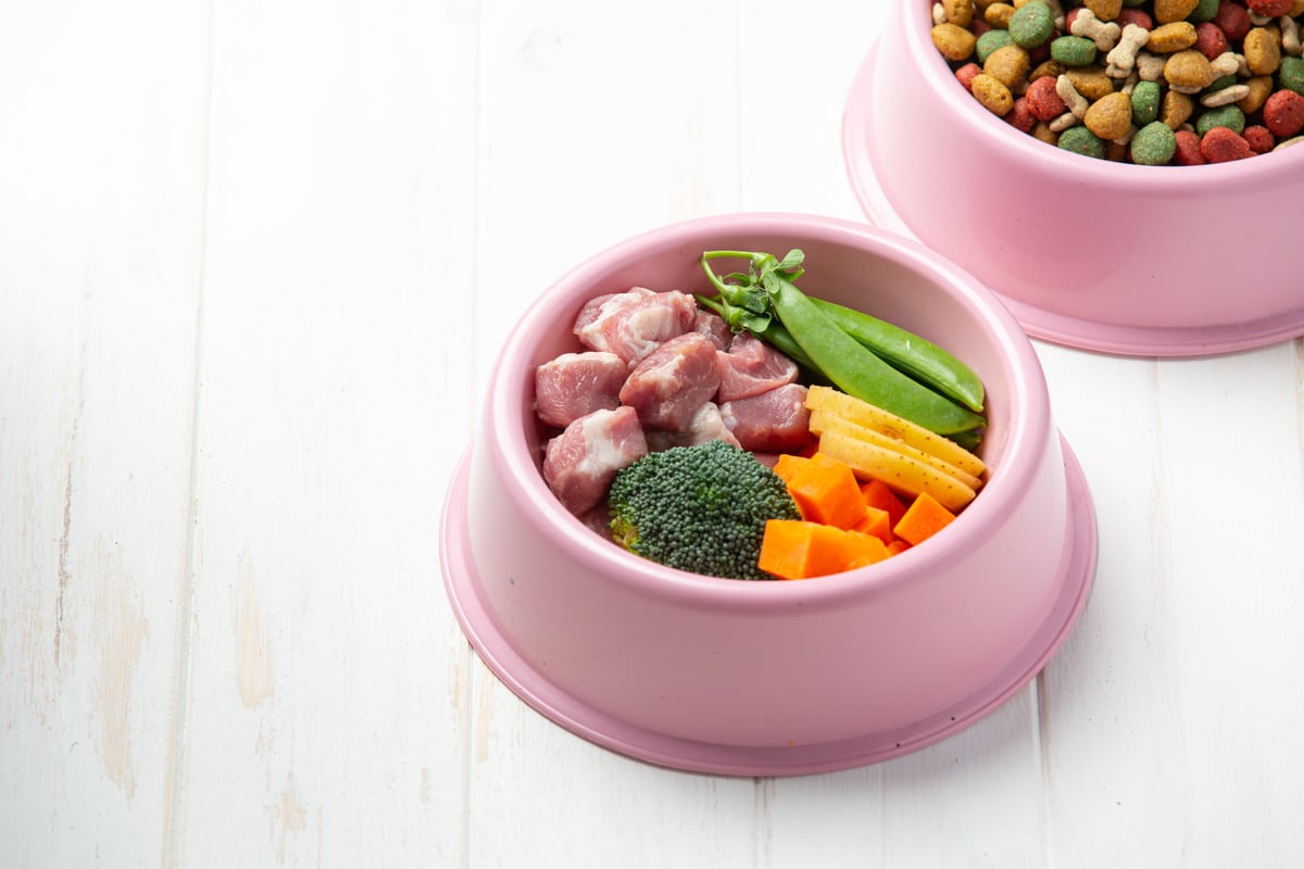 Pet food in pink bowl