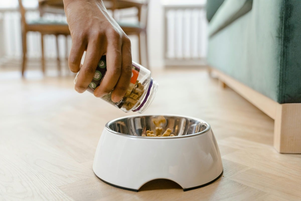 Pouring food into pet bowl
