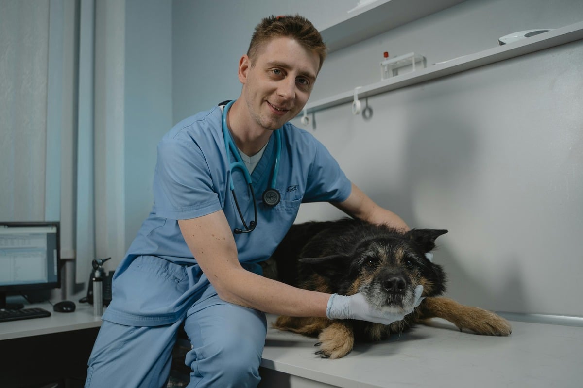 Veterinarian with a dog